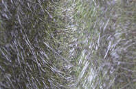 Langley Street fibreglass roof work